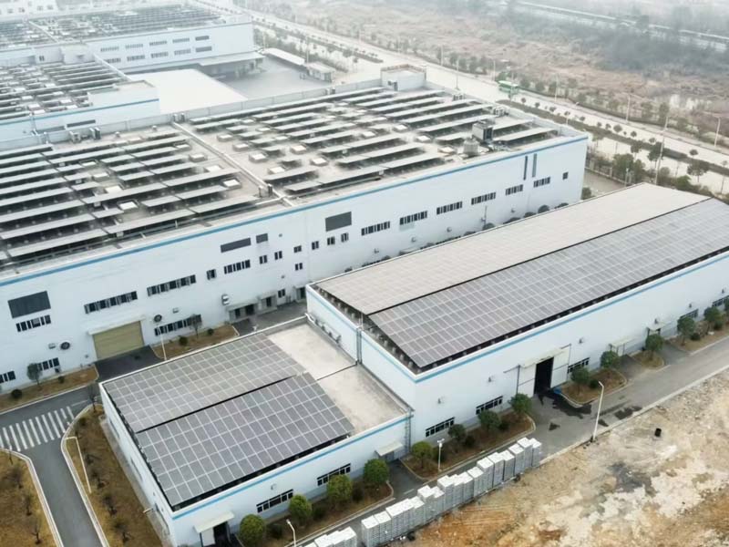 1742798021315814.jpg 2.jpg